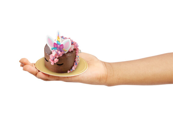 Tasty Tinies Unicorn Party Pack